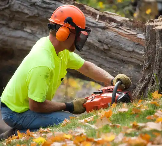 tree services Austinburg